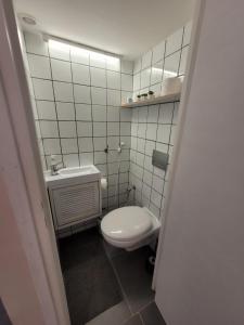 Appartements Studio calme et agreable avec acces jardin partage : photos des chambres