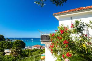 Apartment Ana Portapisana 