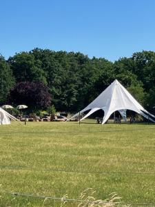 Natuur-like Glamping in Bosland