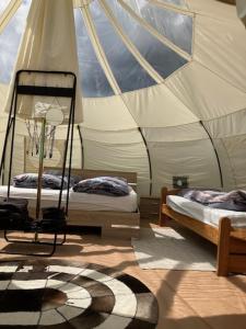 Natuur-like Glamping in Bosland