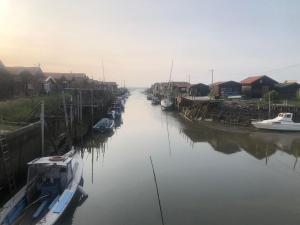 Appartements Les gites du canal : photos des chambres