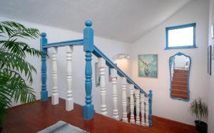 Apartments Villa Domus Marini