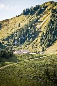 Berghotel Altes Wallberghaus - Kreuth