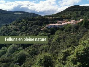 Maisons de vacances Pyrenees Mon Amour : photos des chambres