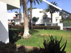 MARIPOSA en FronteraPrimavera