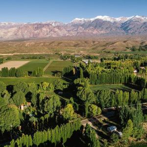 Cabaña en Alta Montaña - Complejo Cabañas del Pastizal - USPALLATA, MENDOZA