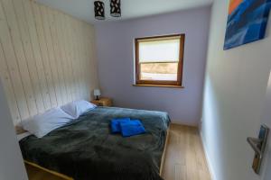 CW Wyspa Energetyk w Polańczyku - Camping