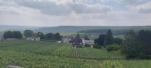 Maisons de vacances House in the Heart of the Champagne Vineyard : photos des chambres