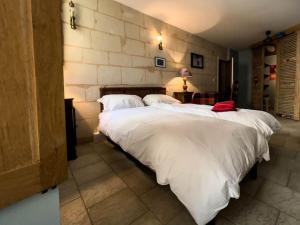 Maisons de vacances Maison traditionnelle centre Montsoreau : photos des chambres