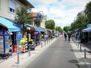 Maisons de vacances Andernos-Maison de centre-ville avec jardin : photos des chambres