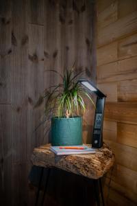 Lofoten Green Studio