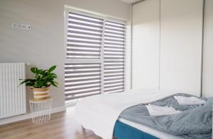 Apartamenty Jawor Fire Energy Jawor