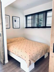 The Banks Lodge by ZILT