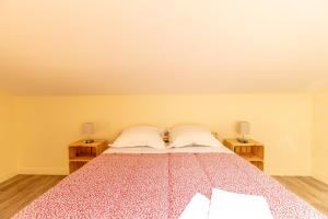 F3 Duplex lumineux Amazonia Hypercentre Lamartine 203