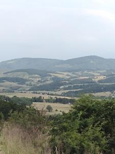 Brvnara GAJ Divčibare