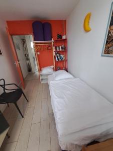 Sejours chez l'habitant Bordeaux centre, Appartement privatif et 5 chambres privees, piscine, parking : Chambre Simple - Vue sur Jardin