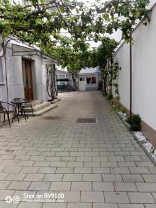 FLH - Natalia 1 - Turnisor