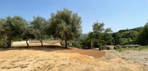 STAZZU LU CHISSONI img41