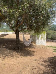 STAZZU LU CHISSONI img42