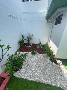 3 Min from SJO airport Kaeli