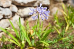 Maisons de vacances Le Cabanon de Valerie : photos des chambres