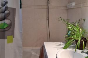 Appartements Le Chausse a Bres Chambre d'hotes 2 : photos des chambres