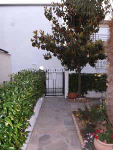 Socrates House