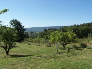 Maisons de vacances Les Vendangeurs, gite au milieu des vignes face au Luberon : photos des chambres