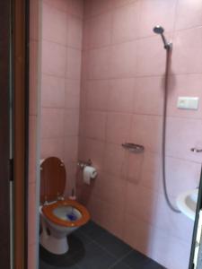 Valdi Guest Shekvetili