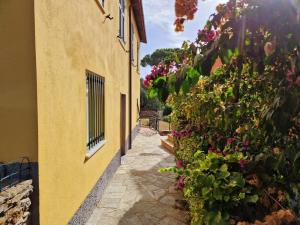 Giardino panoramico sul mare, un angolo di liguria