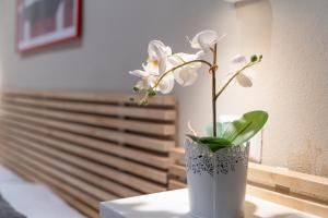 Domus Karalis II img25