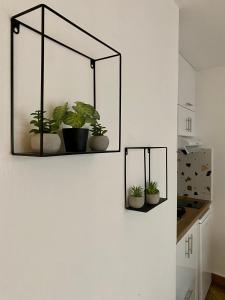 Sunshine Cozy Central Studio Basement