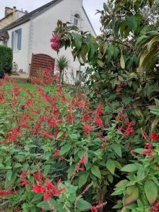 Maisons de vacances Petit nid des annees 30 sur les hauts de Morlaix : photos des chambres