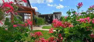 Maisons d'hotes Au Bunker 67 : photos des chambres