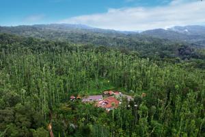Jungle Greens Homestay - Water Activities, Near to Jungle Safari