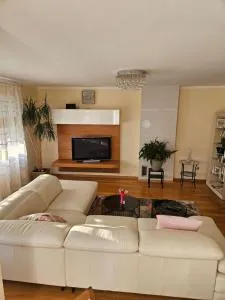 Magic Eden Rijeka - Zamet