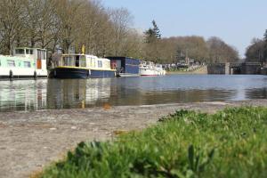 B&B / Chambres d'hotes Ille Flottante, hebergements insolites sur le canal : photos des chambres