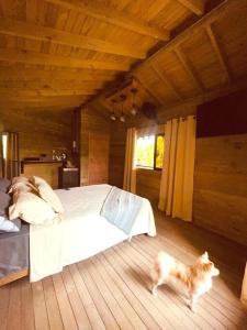 La Peña Cabins - Ebéjico