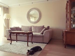 Cozy centre apartment KKE