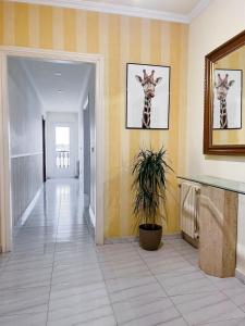Apartamento Morriña do Mar