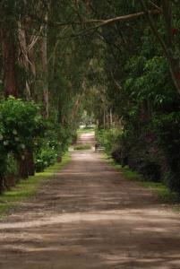 Hacienda Suescún - 300 Años de Historia