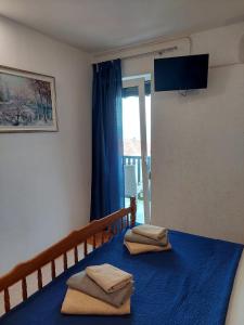 Apartments with a parking space Gradac, Makarska - 6881