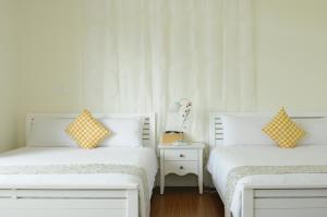 3520 Homestay 台東縣民宿編號586號