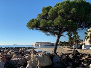 Appartements Appartement a 2 pas de la plage de Meze, climatise, parking gratuit, labelise 2 cles CLEVACANCES - FR-1-604-40 : photos des chambres