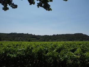 Maisons de vacances Holiday Home near Pont du Gard & Vineyards : photos des chambres