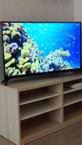 Elio Del Ray condo feel resort