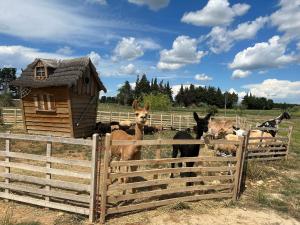 Maisons de vacances Gite a la ferme avec Spa : photos des chambres