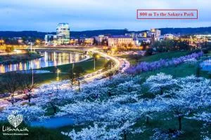 Nordic Studio 140 In Prime Vilnius Location - Вильнюс