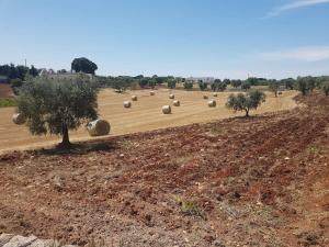Dimora Grecale Valle DItria
