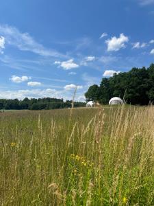 Karkonoski Glamping